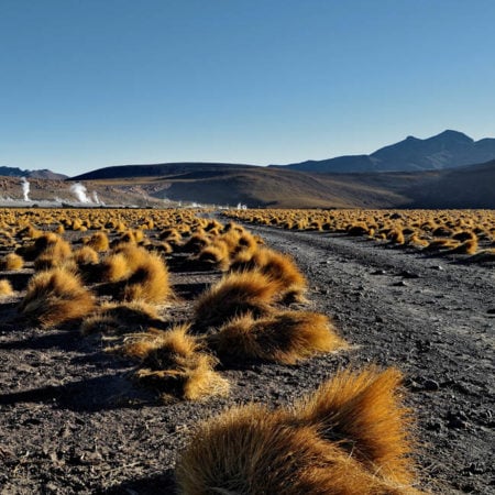 Camino a los geiser del Tatio II