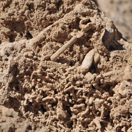 Detalle de Atacama I